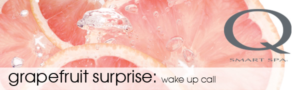 Grapefruit Surprise Sugar Scrub Banner