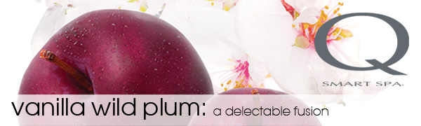 Vanilla Wild Plum Home Spa Banner