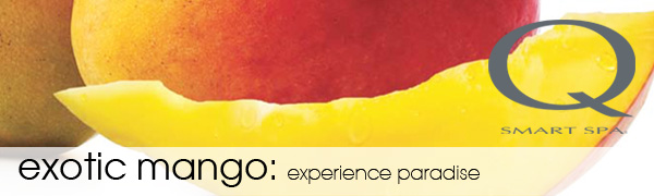 Exotic Mango Sugar Scrub Banner
