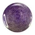 Zoya Nail Polish ZP637 Daul Purple Gold Nail Polish Foil Nail Polish