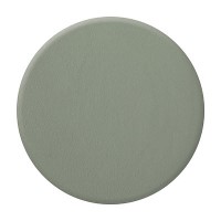 Zoya Nail Polish in Sage alternate view ZP781 thumbnail