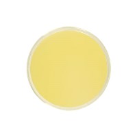 Pedicure, Manicure Soak, Lemon Dream Triple Action Fresh Soak 32oz, Spill