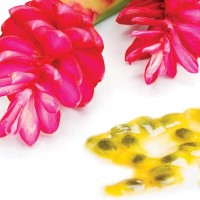 Awapuhi Ingredient Image