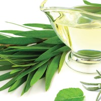 Pedicure, Manicure Soak, Revitalizing Zen Triple Action Fresh Soak 32oz, Ingredient Image