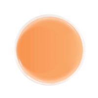 Professional Pedicure & Manicure  Soak Peach Bellini | Smart Spa