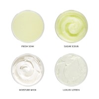 SmartPods: Cactus Blossom   QTCAPOD01Product Swatch