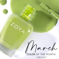Cricket Nail Polish Spill